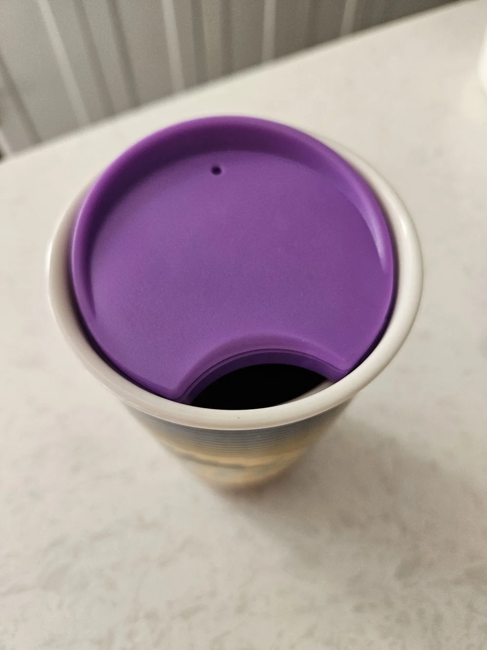 Starbucks Florida Travel Tumbler
